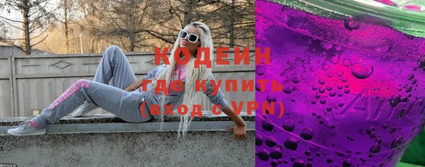 метадон Няндома