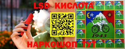 бошки Гатчина