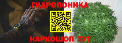 ешки Абакан