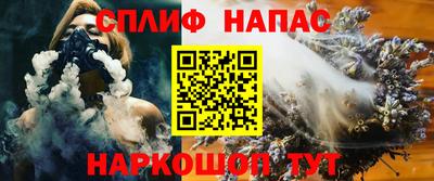 бошки Гатчина